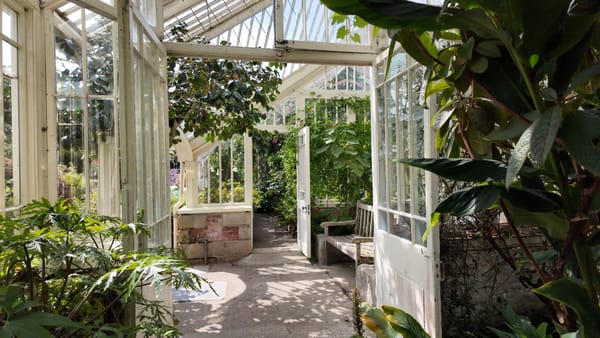Tregrehan Garden